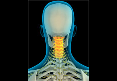 Cervical Spine Anatomy